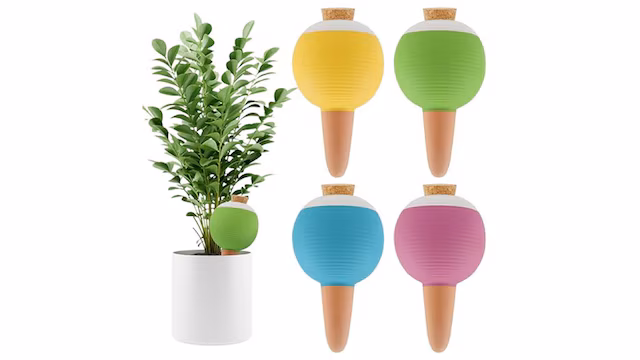 Self Watering Globes